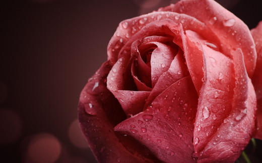 906995 (a): :2880x1800
